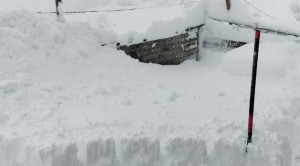 लाहौल और कुल्लू में ताजा बर्फबारी